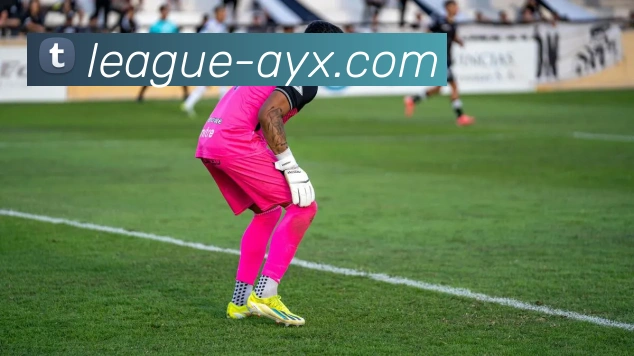 爱游戏品牌故事